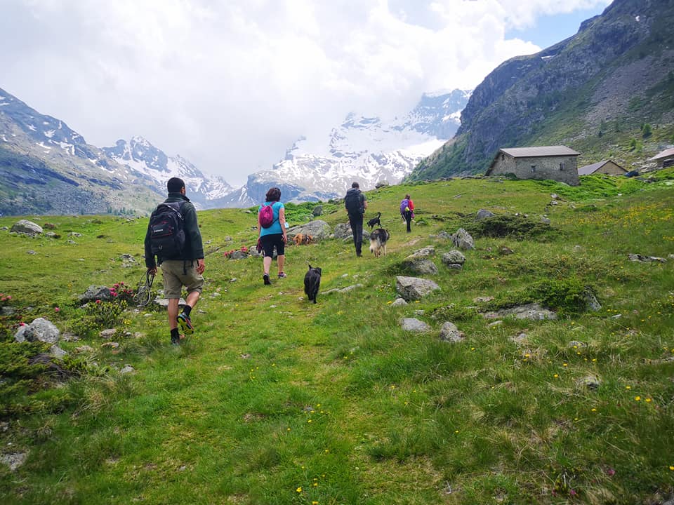 dog trekking Laghi di Cancano