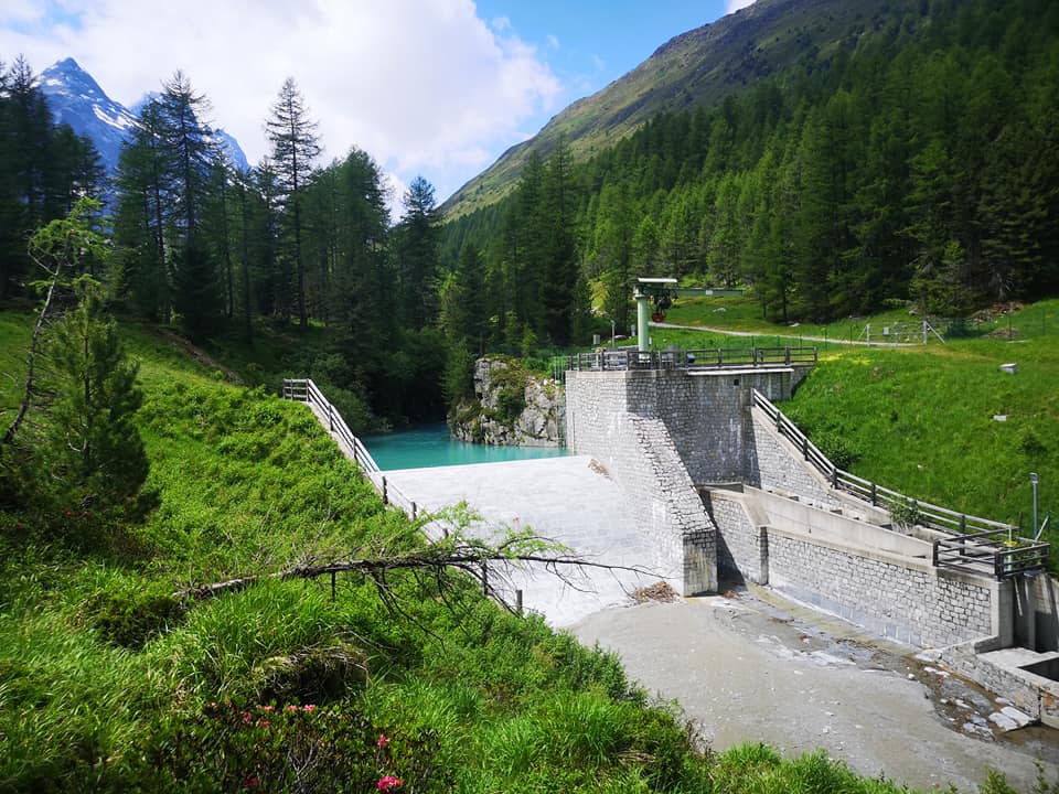 dog trekking Laghi di Cancano