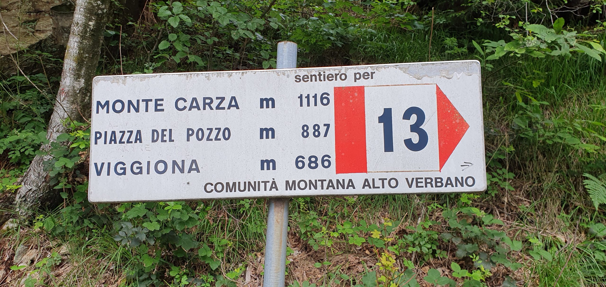 Dog Trekking Monte Carza Lago Maggiore