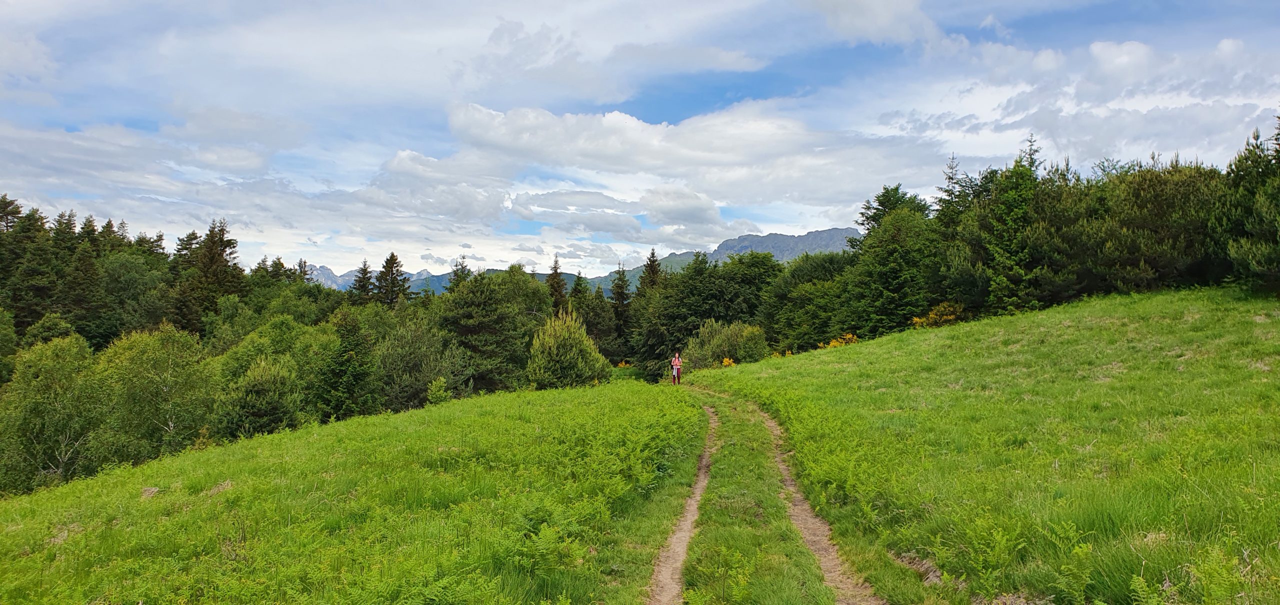 Dog Trekking Monte Carza Lago Maggiore