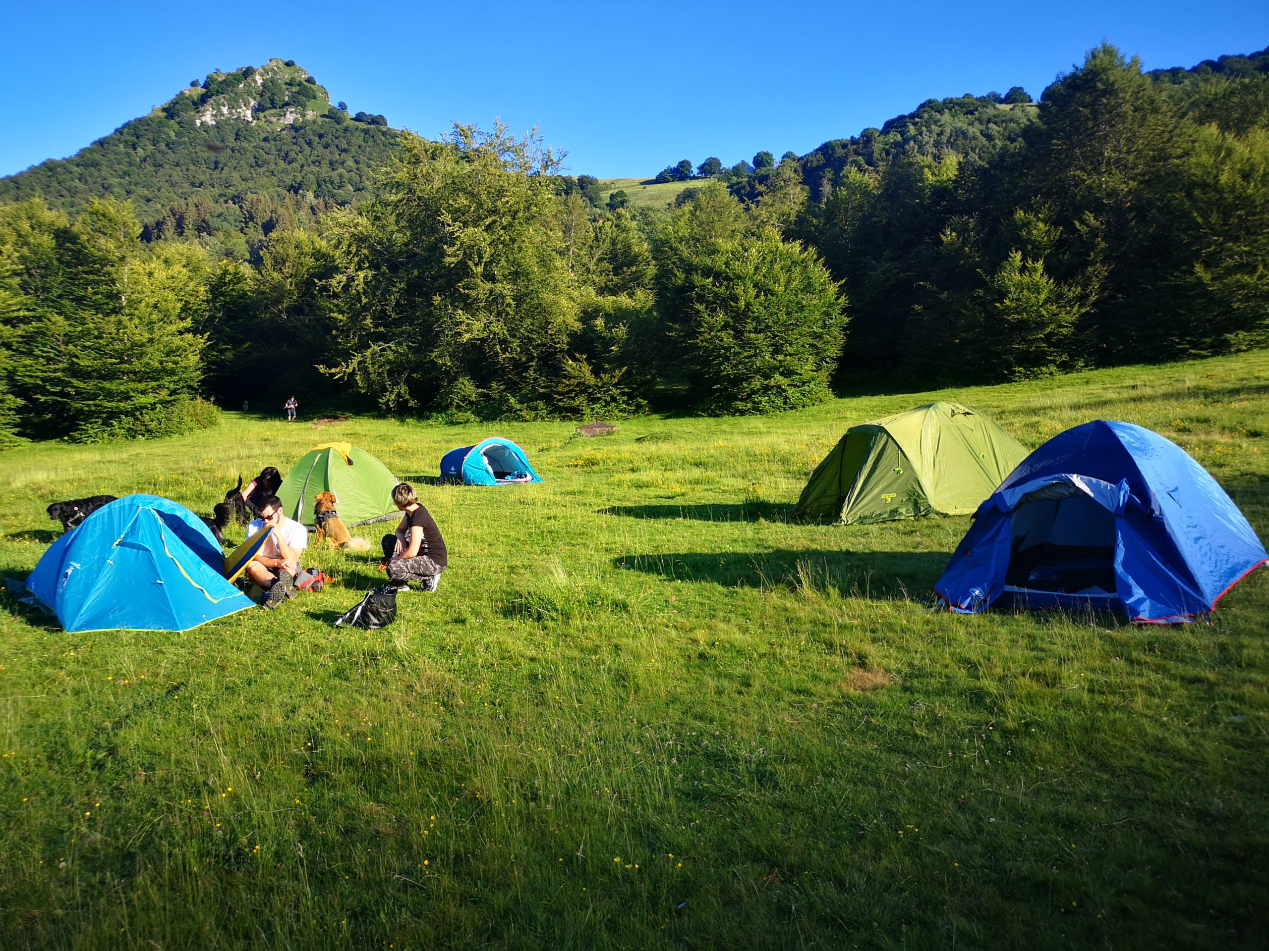 Dog Trekking in tenda