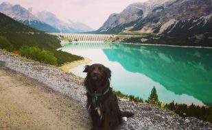 dog_trekking_laghi_di_cancano_val_viola