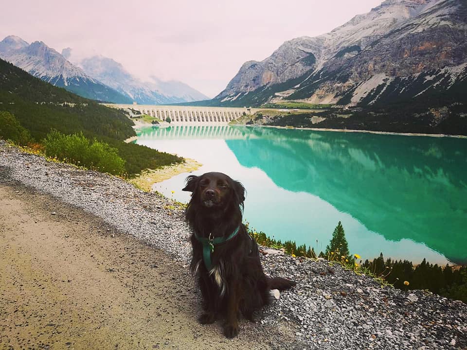 dog_trekking_laghi_di_cancano_val_viola