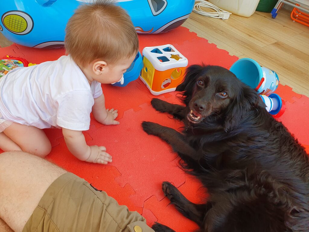 Corso convivenza bambini e cani