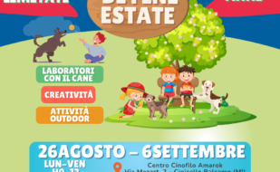 DOG CAMP Cinisello Balsamo