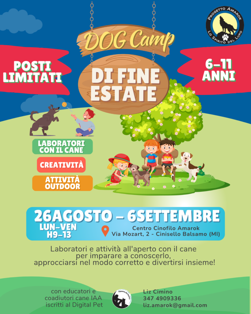 DOG CAMP Cinisello Balsamo