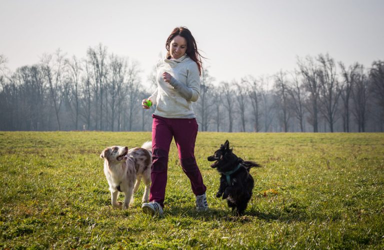 educazione del cane Monza